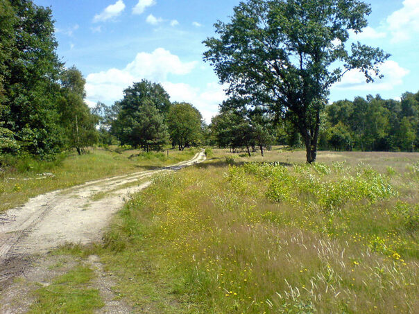 Wahner Heide: Altenrather Wiesen