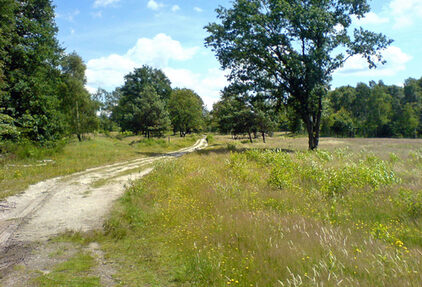 Wahner Heide: Altenrather Wiesen