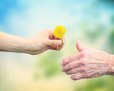 Junge und alte Hand mit Blume