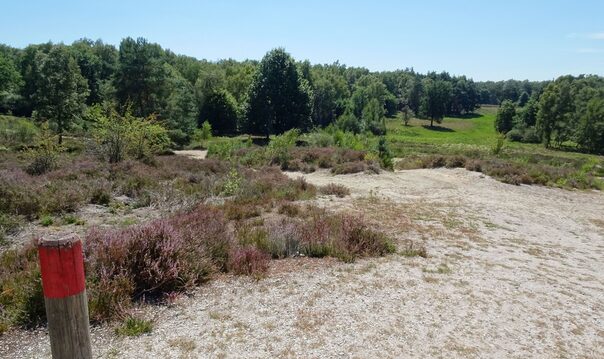 Etwa 2.011 Hektar des Naturschutzgebietes Wahner Heide liegen im Rhein-Sieg-Kreis.