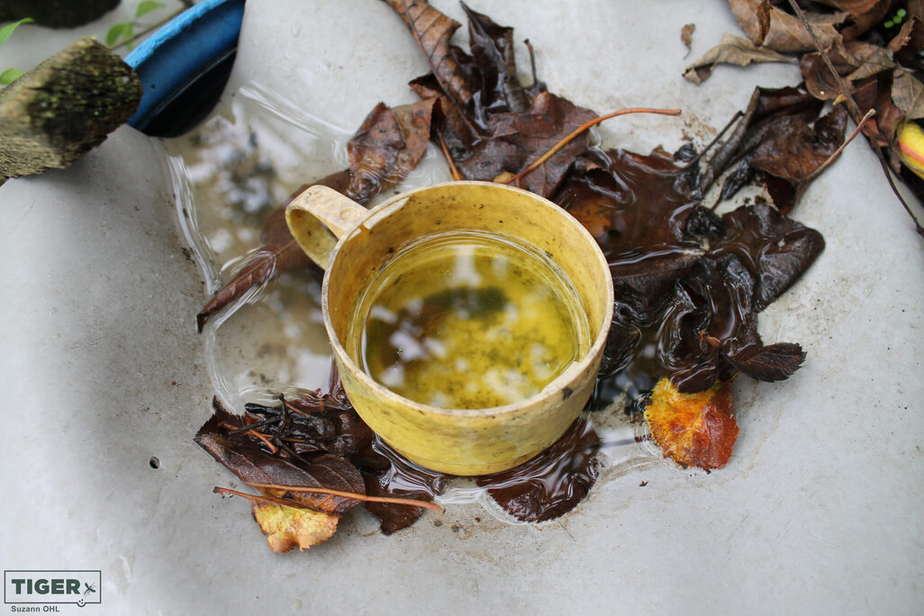 Plastiktasse