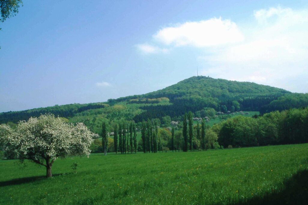 Der Oelberg: die höchste Erhebung im Siebengebirge