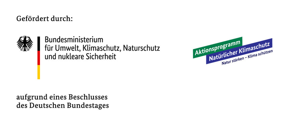 Klimaanpassungsmanagement des Rhein-Sieg-Kreises