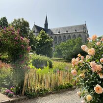 Altenberger Dom