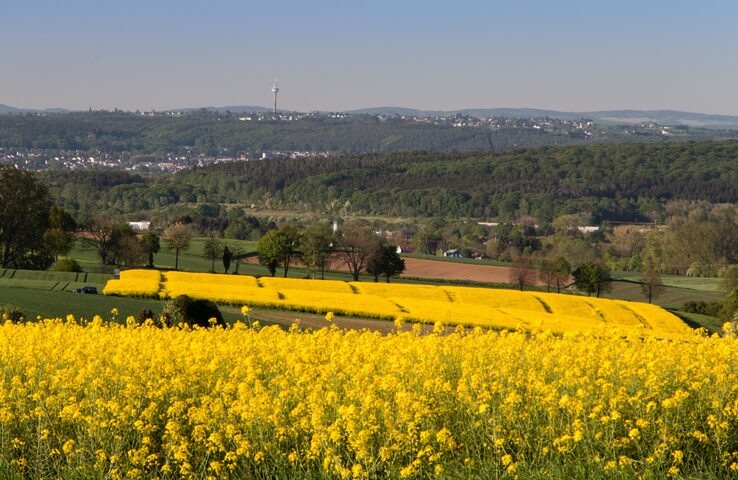 Blick ins Siegtal