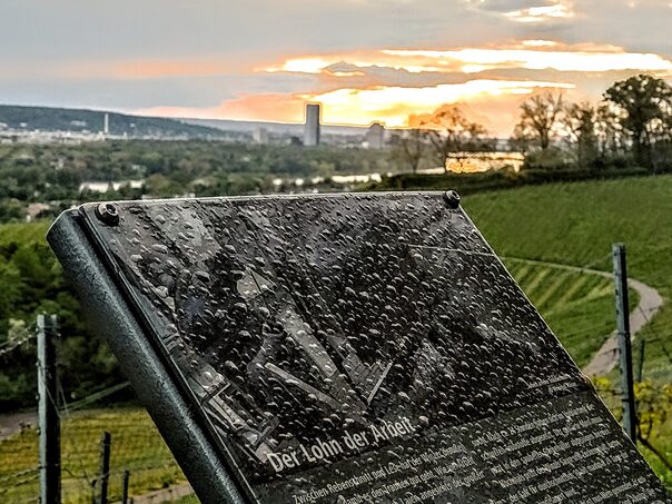 Infotafel an einem Wanderweg in Königswinter